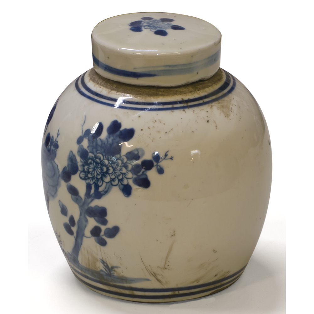 Blue and White Porcelain Flower and Bird Oriental Jar